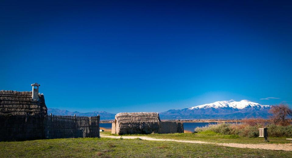 L'Escale Catalane, 50M De La Plage, 36M2, Parking Canet-en-Roussillon Dış mekan fotoğraf