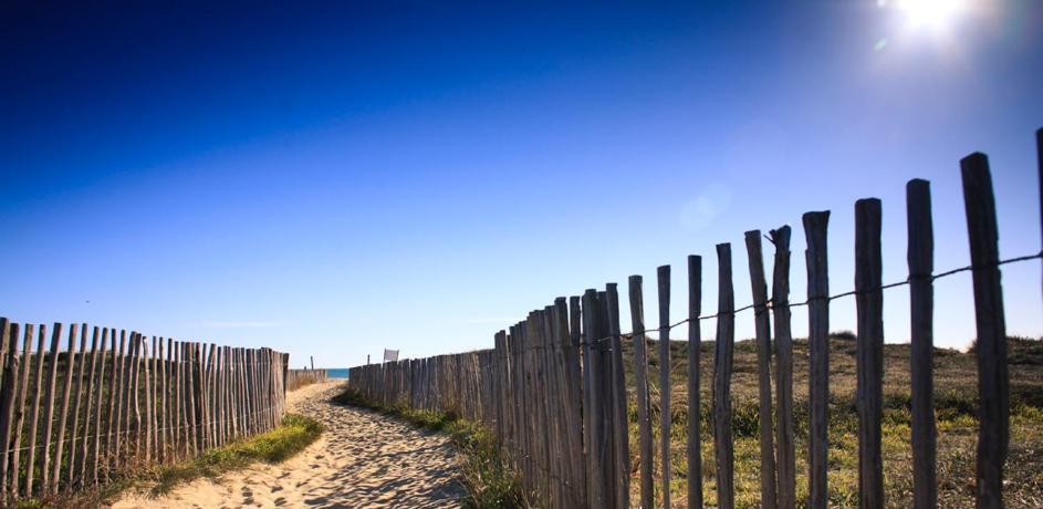 L'Escale Catalane, 50M De La Plage, 36M2, Parking Canet-en-Roussillon Dış mekan fotoğraf